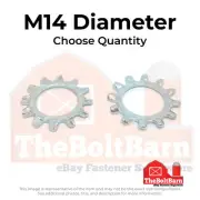 M14 Class 10 External Tooth Lock Washers Zinc Clear (Pick Quantity)