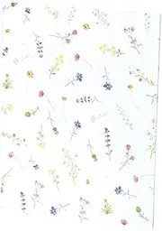 Rössler Papier Writing Paper Pack 10/10