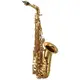 Weissenberg 韋笙堡 中音 薩克斯風 A-605GL Alto Saxophone 台灣精品【樂器零件王】