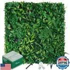 Grooy Artificial Boxwood Panels, Grass Wall Panels 20"x20"(6pcs), Privacy Hed