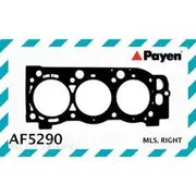 Payen Head Gasket - AF5290