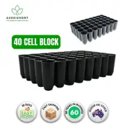 Forestry Tray 40 Cell Block For Crack Pots - Durable Seedling Propagation Tray