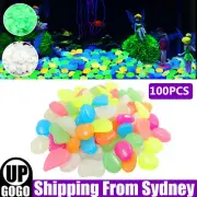 100X Pebbles Stone Glow in the Dark Rock Fish Tank Stones Garden Road Decor