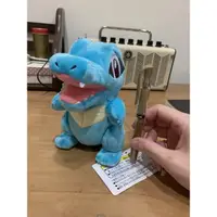 在飛比找蝦皮購物優惠-日本 pokemon 神奇寶貝中心 小鋸鱷 布偶 娃娃 皮卡