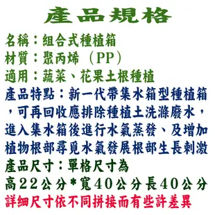 雙排 懶人種植箱 大型省水型種植箱 雙直排種植箱 室內有機蔬菜種植箱 大直排雙種植箱組合