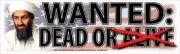 WANTED DEAD OR ALIVE WVPT-00044 10 X 3 AUTOMOTIVE COLOR BUMPER STICKER