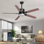 Outdoor Ceiling Fans Lights with Remote: 52 Inch Fan for Bedroom LED Dimmable