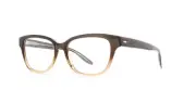 Barton Perreira PALLENBERG Brown Maple Eyeglasses MAO 50mm