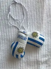 Uruguay Mini Boxing Gloves