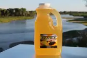Raw Honey Pure Natural Nebraska Honey One 12LB Gallon Jug