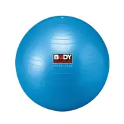 Body Sculpture Gym Workout Anti-Burst 65cm Ball Fitness Sports Training/Exercise