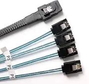 BORSVAEN Mini SAS to SATA Cable (SFF-8087 36Pin Male to 4 SATA 7Pin Female),Mini SAS Host to 4 SATA Target Hard Disk Data Cable - 3.3 Feet