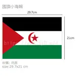 西撒哈拉 WESTERN SAHARA 國旗 海報 / 世界國旗小海報