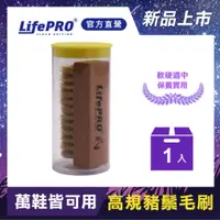 在飛比找蝦皮商城優惠-【MINIPRO台灣】究極貳號 原木豬毛刷 洗鞋神器 豬鬃毛