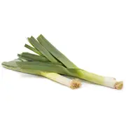 Leek Twin Pack 2 pack