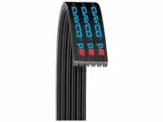 For 1996-2000 Honda Civic Multi Rib Belt Dayco 24665RM 1997 1998 1999 (for: Honda Civic)