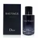 Dior 迪奧 曠野之心男性淡香水 60ml