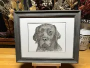 Drawing of a Black Lab Labrador Retriever Dog Graphite Pencil Sketch Picture