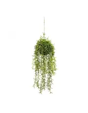 [Fusion] Moss Ball With Senecio Hanging Artificial Plant Flower With Rope 60cm in Green
