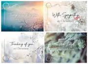Cards Christmas Sympathy Light of the World
