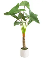 Nearly Natural 4.5ft Artificial Arrowhead Philodendron in Decorative Planter NoSize Green