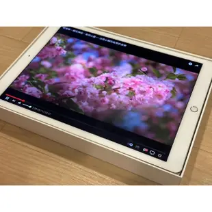 健康度100% iPad Pro 12.9 32G 金 wifi版 12.9吋 pro12.9 大螢幕 功能機況非常良好