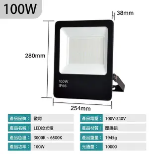 【青禾坊】歐奇OC 100W LED 戶外防水投光燈 投射燈-2入(超薄 IP66投射燈 CNS認證)