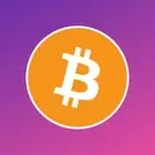 Bitcoin BTC HODL Crypto Cryptocurrency Sticker