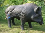 3D Bow Hunting Archery Practice Target Wild Boar Pig Real Life Recurve Compound