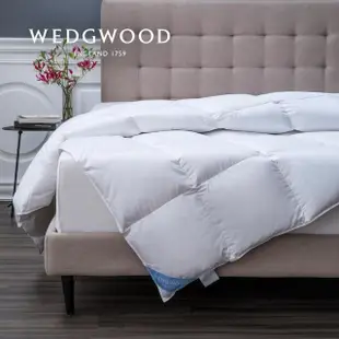 【WEDGWOOD】JIS 90/10法國白鴨絨抗菌舒眠羽絨被 四季被(雙人1KG)