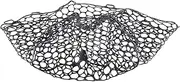 zaqwsx Replacement Fishing Net Wear- Rubber Mesh Fish Catch Multifunctional Dip Net White 55cm