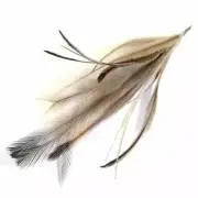 New Emu Feather Pincher - Natural - Wholesale Feathers & Craft Supplies