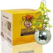 Disco Ball Planter 6 Inch - Hanging Planters with Chain & Macramé Rope