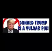 Funny "DONALD TRUMP IS A VULGAR PIG" Anti Trump BUMPER STICKER window decal