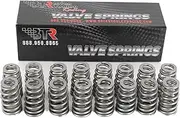 BTR "LS6" BEEHIVE VALVE SPRING SET - .560 LIFT - GEN 3/4 LS STOCK VALVE SPRING UPGRADE - 16 PC KIT - SP011-16