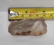 Australian Waterline Agate Rock Tumbling Rough Mineral Specimen 35g, 1.25 Oz