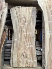 Camphor Laurel 2.53m Timber Slab GNT4217