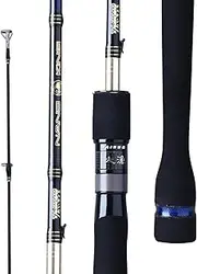 Ultralight Nano King Spinning Fishing Rod 1pc 2pcs Nano blank Fuji K Titanium SIC Guide+Fuji Reel Seat EVA handle Complimentary Tube included