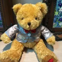 在飛比找momo購物網優惠-【TEDDY HOUSE 泰迪熊】泰迪熊玩偶公仔絨毛娃娃帥氣
