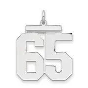 Ss/Gold Plated Sterling Silver/Gold-Plated Polished Number 65 Charm