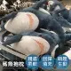 好睡療癒【鯊魚抱枕(60cm)】娃娃 抱枕 玩偶 絨毛玩具 午睡枕 靠墊 枕頭 靠枕 墊枕 長條抱枕 大抱枕 造型抱枕