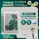 【Coway】5-10坪 綠淨力玩美雙禦空氣清淨機 AP-1019C_龜背葉