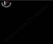 Accordion Celluloid Glossy Black 13 x 27 (inch) Imported