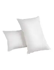 [Giselle Bedding] Set of 2 Goose Feather and Down Pillow