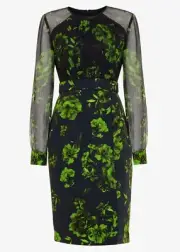 Phase Eight dress, Alisha Floral Dress, Size 10