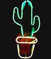 14"x6" Humanoid Cactus Acrylic Neon Sign Light Lamp Glass Wall Display ZS364