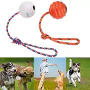 2 Pack Dog Ball Training Ball on Rope for Reward Fetch Play Exercise Dogs Toy