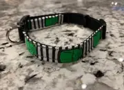 FRANKENSTEIN COLLAR Pet Small Lap Dog Cute Puppy Large Cat Green Monster New