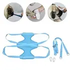 AU (Blue)Pet Grooming Hammock Breathable Soft M Size Hammock Restraint Bag For D