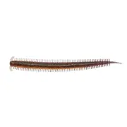 Berkley PowerBait Sandworm Soft Plastic Lure 4in